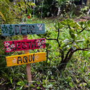 Placa de Jardim Deus Está Aqui