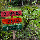 Placa de Jardim o Amor mora Aqui