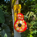 Casinha de Porongo Seja Luz