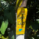 Casinha de Porongo Seja Luz