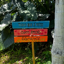 Placa de Jardim Tudo que é Feito