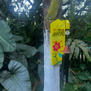 Porta Sino Amor