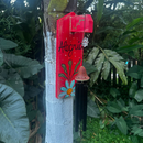 Porta Sino Alegria