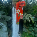 Porta Sino Ame-se